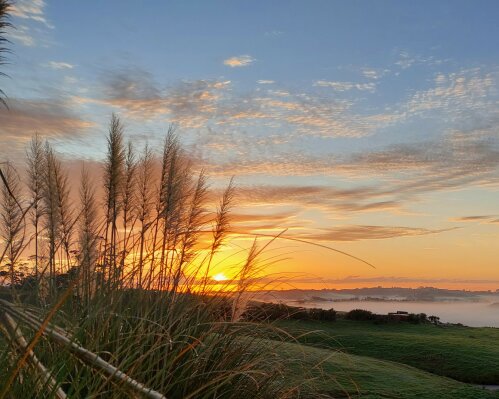 Council working with police following incident 